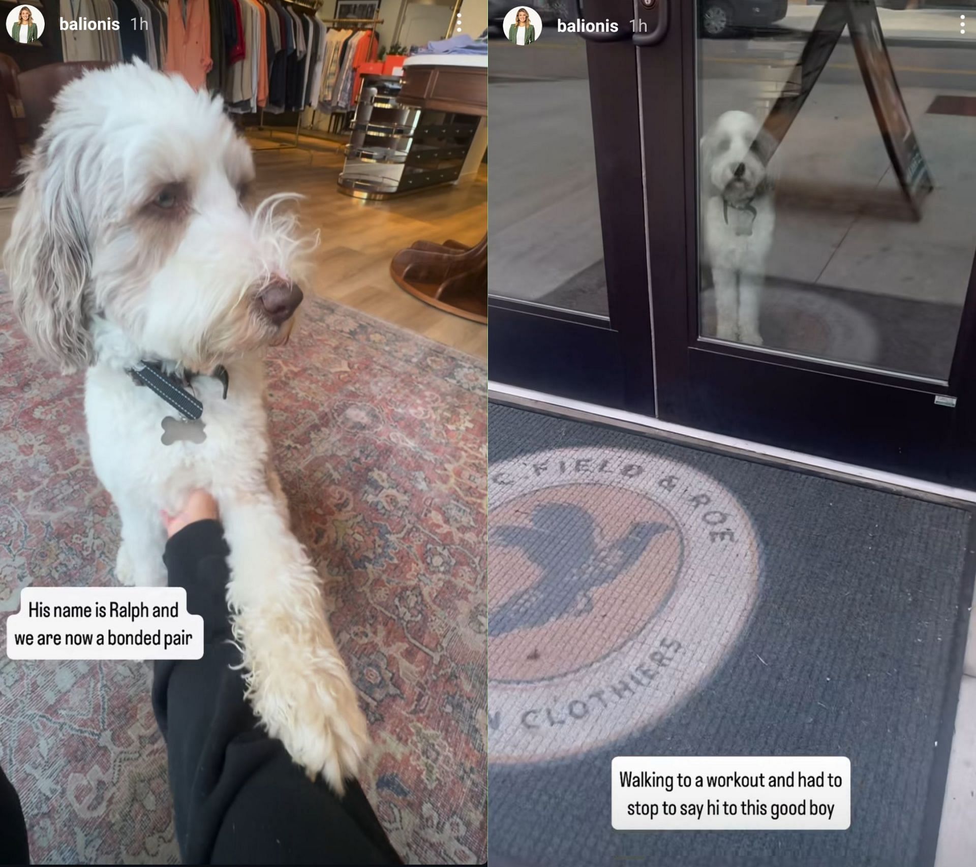 Stills from Amanda Balionis' stories - Source- via @balionis on Instagram